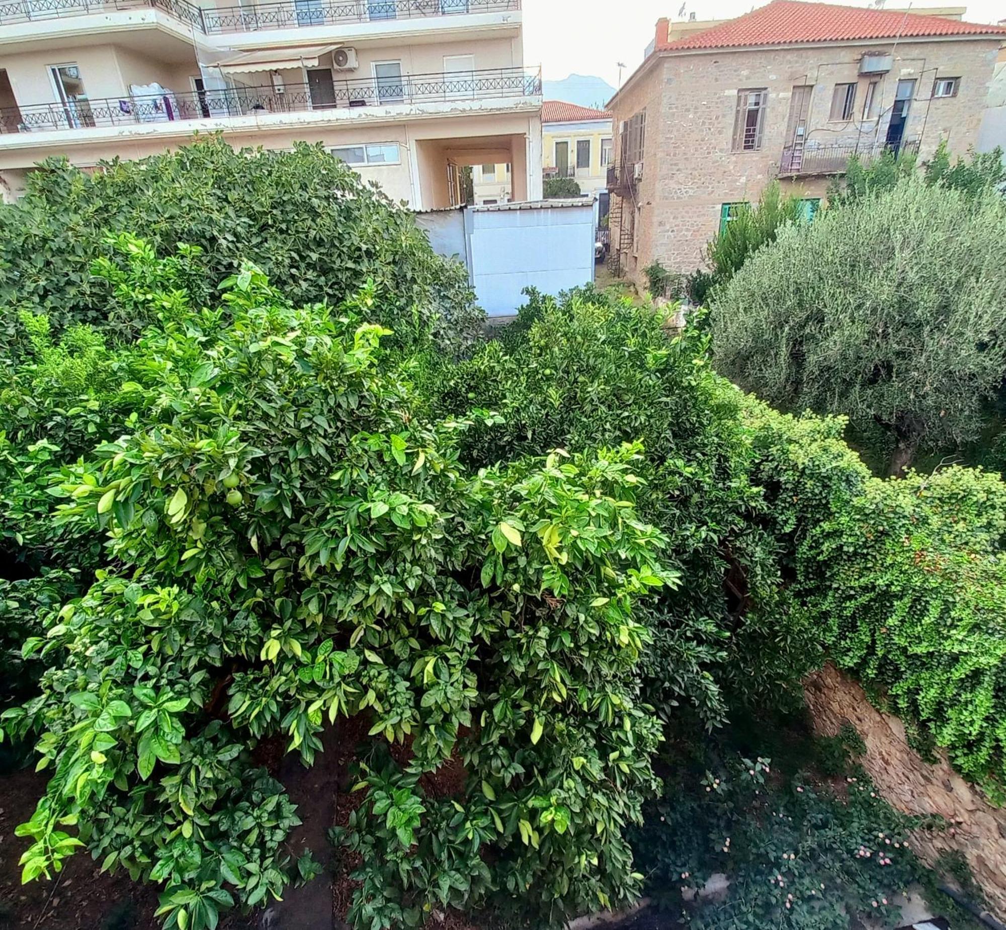 Villa Zeta'S Vintage Garden House à Sparte Extérieur photo